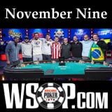 2014 wsop november nine