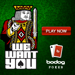 Bodog Poker Download