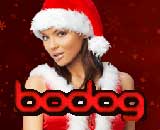  - bodog poker download - 