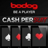 bodog poker usa