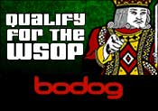 Bodog Poker Download
