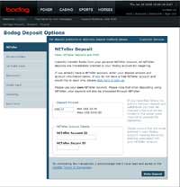 bodog poker payment options