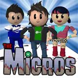 the micros poker