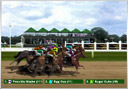 Virtual Carrera Party-Casino