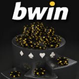 Winner Takes All Poker Torneos de Bwin