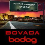 World Series of Poker 2014 Satelliten Bovada