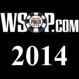 2014 World Series of Poker Main Event Day 2